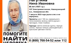 В Кузбассе 86-летняя пенсионерка ушла в лес и пропала 