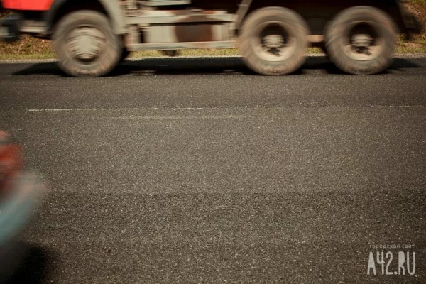 Заражённые гепатитом и COVID обезьяны сбежали из разбившегося грузовика