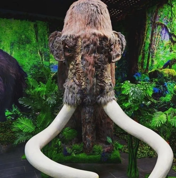 Фото: Миллионы лет назад: в Кемерове проходит выставка, посвящённая гигантам древности 1