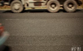 Заражённые гепатитом и COVID обезьяны сбежали из разбившегося грузовика