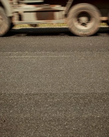 Заражённые гепатитом и COVID обезьяны сбежали из разбившегося грузовика