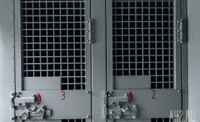 Жителя Екатеринбурга подозревают в сексуальном насилии над 13-летней школьницей