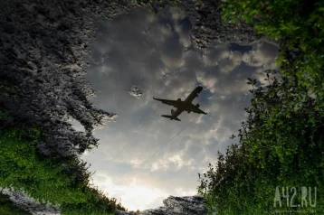 Фото: Экстренно севший в поле под Новосибирском самолёт вернётся к полётам 1