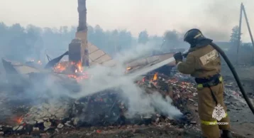 Фото: В МЧС показали кадры тушения мощного пожара в Тамбовской области: повреждено 28 домов 1