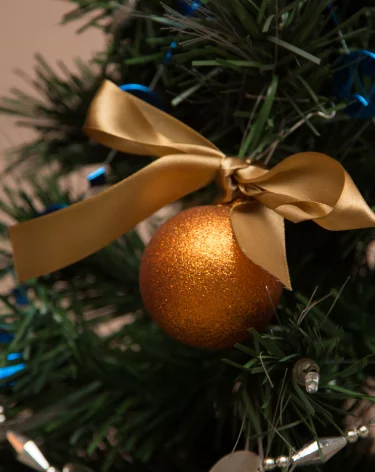 Продлить новогодние каникулы отпусками и отгулами решили только 12% кемеровчан