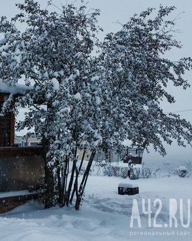 <a href=https://gazeta.a42.ru/>Фото: A42.RU</a>