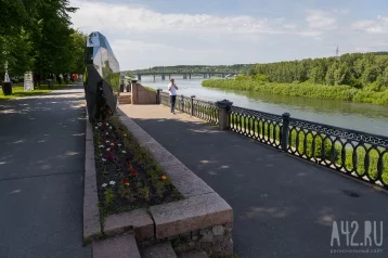 Фото: В центре Кемерова сняли на видео купающегося в Томи лося 1