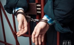 В Новосибирской области россиянина арестовали по подозрению в изнасиловании двухлетнего сына сожительницы