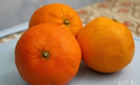 Диетолог Стародубова раскрыла неожиданную пользу апельсинов для сосудов