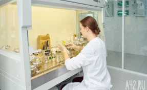 В Швеции обнаружили опасный для репродуктивной системы химикат в поддельных Лабубу 