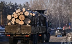 Из Кузбасса в Китай за полгода вывезли почти 50 тысяч кубометров леса