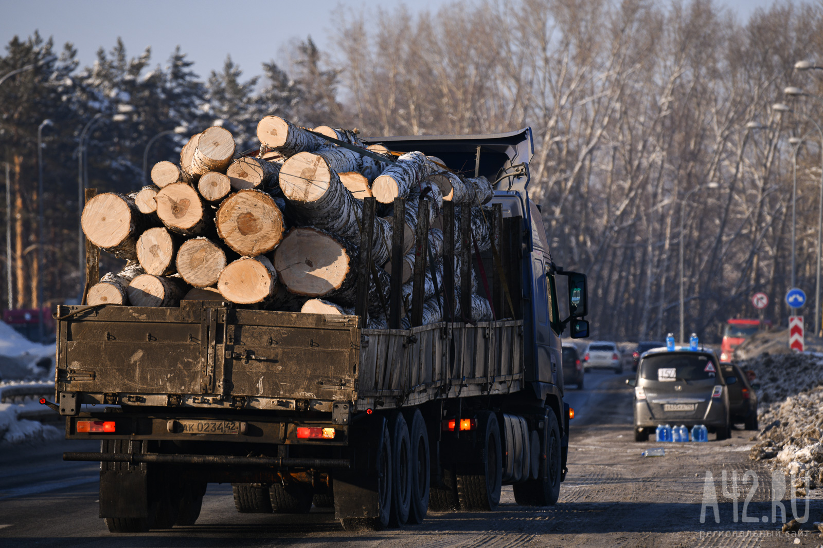 Из Кузбасса в Китай за полгода вывезли почти 50 тысяч кубометров леса