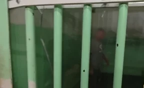 В Кемерове после жалобы студентки на 14 суток арестовали пожилого флешера