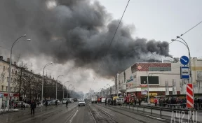 В суд Москвы поступили 12 исков от родственников погибших в кемеровском ТРЦ «Зимняя вишня»