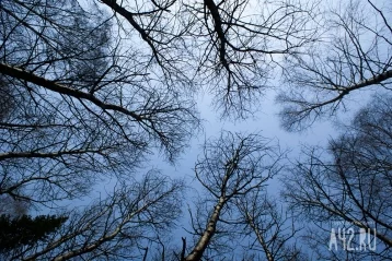 Фото: День Федула Ветреника: как привлечь перемены в жизни 2 мая 1