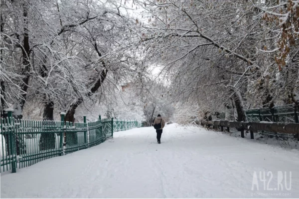 В понедельник в Кузбассе резко станет морознее