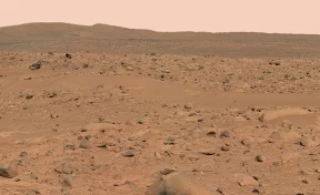 Уфологи опубликовали видео гигантского краба с Марса