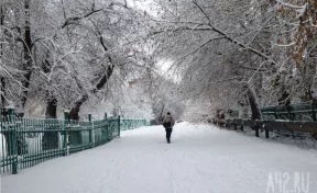 В понедельник в Кузбассе резко станет морознее