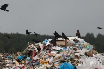 Фото: Из Кемерова вывезли более 20  000 кубометров мусора 1