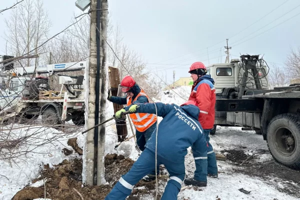 «Россети Сибирь» вернули свет трём кузбасским садоводческим товариществам