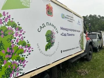 Фото: В Кузбассе высадили 1 миллион деревьев в рамках акции «Сад Памяти» 1