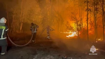 Фото: В Воронежской области тушат 3 крупных ландшафтных пожара общей площадью 150 га 1