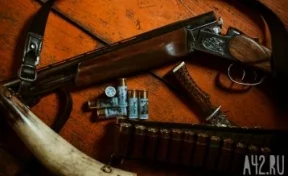 В Кузбассе ФСБ пресекла незаконный оборот оружия и боеприпасов
