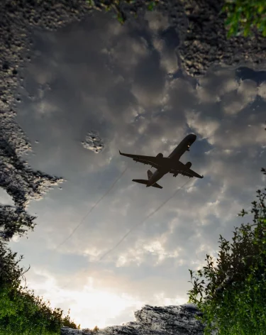 Фото: A42.RU