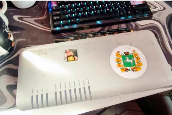 В Кузбассе подозреваемый в мошенничестве пытался выбросить сим-бокс с 5 этажа