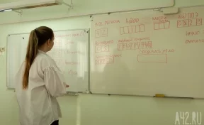 В Кузбассе школьники начали сдавать госэкзамены, они продлятся до 2 июля