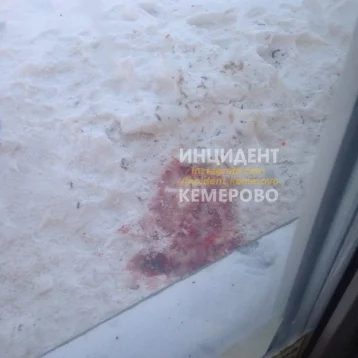Фото: Очевидцы опубликовали фото с места в Кемерове, где обнаружили тело мужчины с отвёрткой в глазу 1