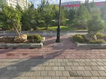 Фото: Клумбы вместо ёлок: в кемеровской Лесной Поляне выкопали молодые деревья, жители недовольны 2