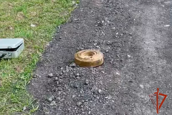 Житель Кузбасса нашёл на дороге учебную противотанковую мину