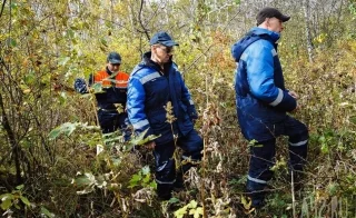 В Кузбассе нашли пропавшую в начале недели 15-летнюю школьницу