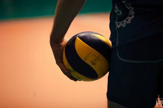 Во время матча на чемпионате в Бразилии опоссум выбежал на площадку и распугал волейболисток 