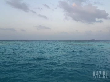 Фото: Женщина, пропавшая на 3,5 часа в штормовом море в Новороссийске, оказалась профессиональной пловчихой 1