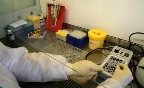 В Кемерове открыли ещё одну лабораторию для проведения тестов на коронавирус