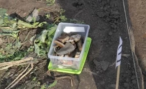 При раскопках в Кемерове нашли уникальные артефакты 17-18 веков