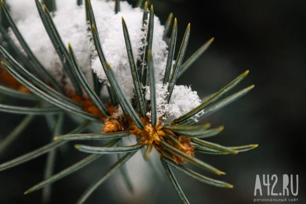Похолодание и дождь со снегом: синоптики дали прогноз погоды на неделю в Кузбассе