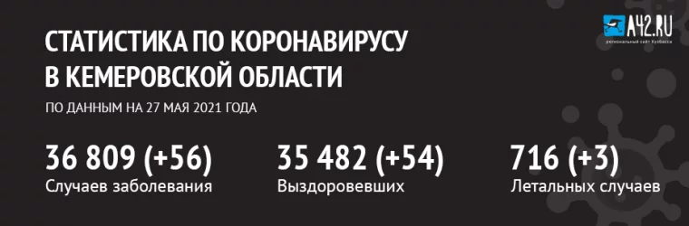 Фото: Коронавирус в Кемеровской области: актуальная информация на 27 мая 1