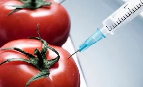 Медики назвали продукты с ГМО, от которых следует отказаться