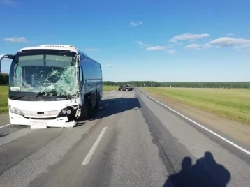 Фото: Грузовик смяло после столкновения с автобусом на трассе «Новосибирск — Ленинск-Кузнецкий» 1