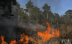 Кузбасские синоптики предупредили о высокой пожароопасности