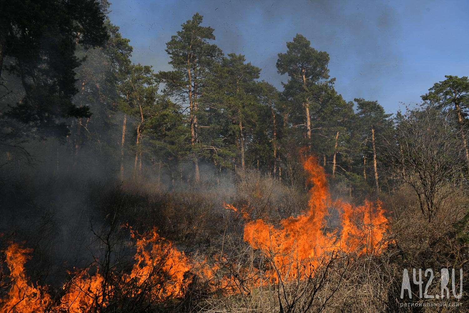 Кузбасские синоптики предупредили о высокой пожароопасности
