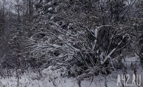 Авдей Радетель: народные приметы на 2 декабря