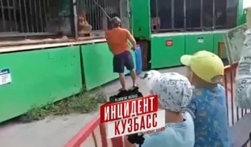 Фото: Кузбассовцы возмутились чудовищными условиями в передвижном зоопарке 1