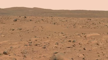 Фото: Уфологи опубликовали видео гигантского краба с Марса 1