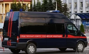 Бастрыкин поставил на контроль расследование издевательств над девочкой в Кемерове