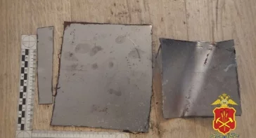 Фото: Житель Санкт-Петербурга прилетел в Кемерово по указанию мошенников и украл у горожанина 1 млн рублей  2