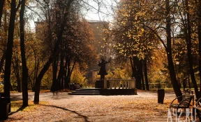 Синоптики: в Кузбассе на выходных потеплеет до +15